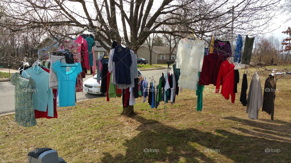 Clothes in a tree
