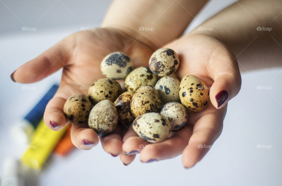 Close-up of a person's hand holding Quail Eggs