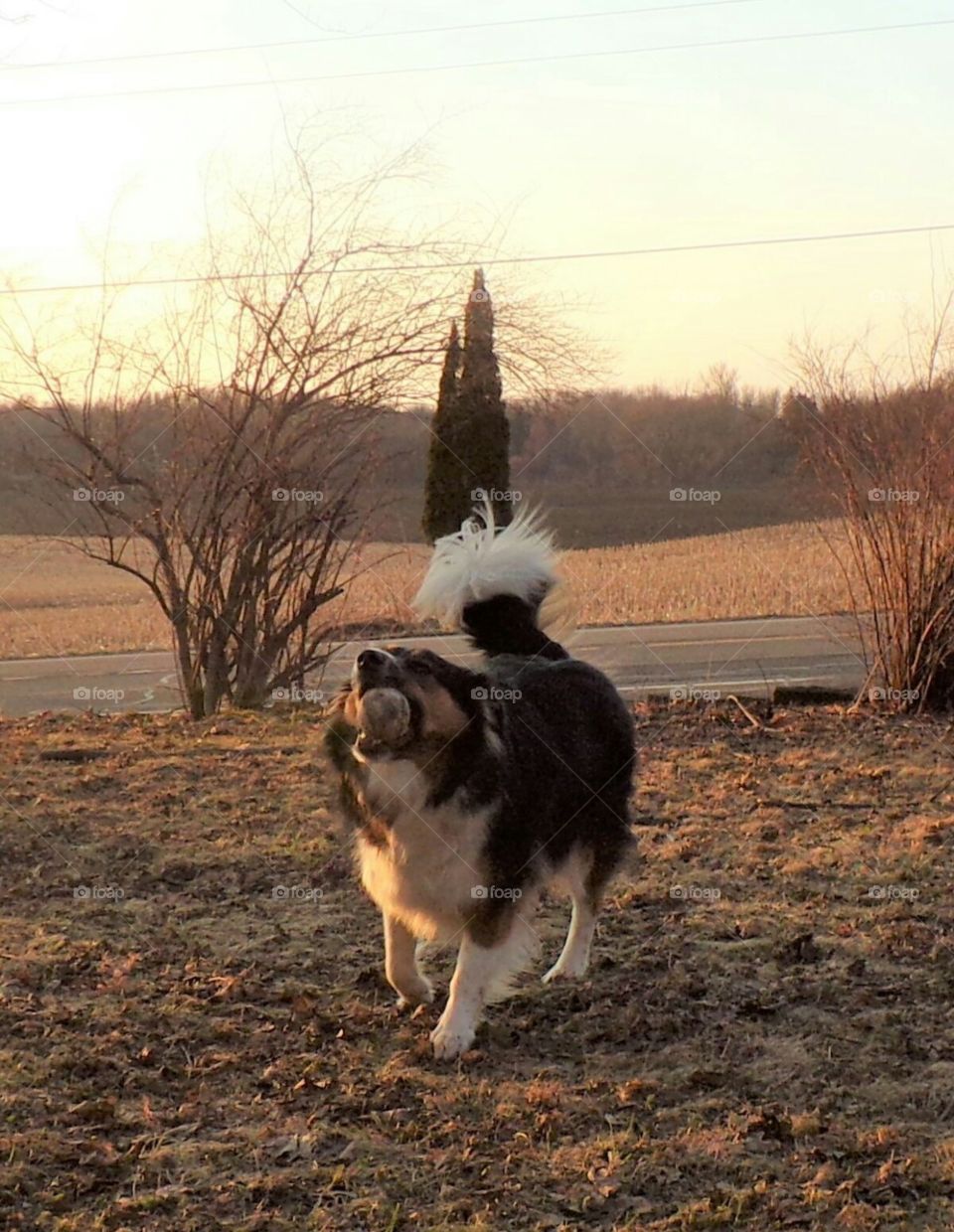 playing catch on a cool spring day.