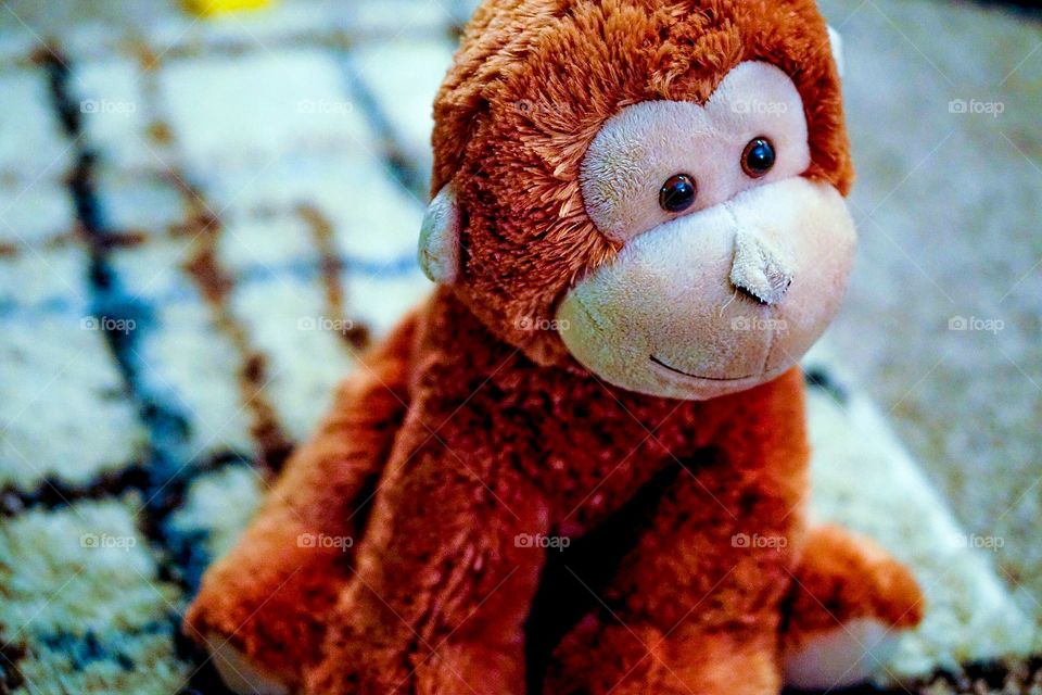 Mr Monkey