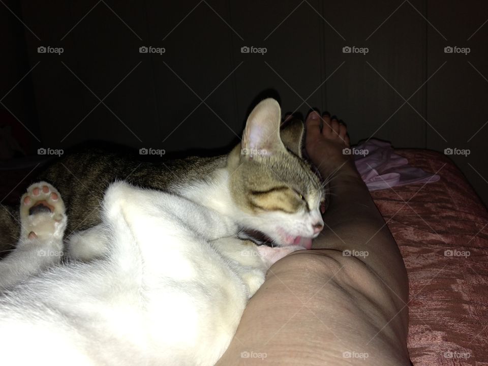 Orazio and Bartolomeo