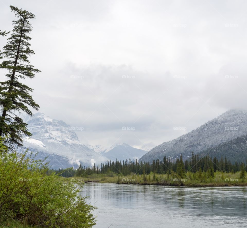 A foggy Spring day by a glassy calm winding river in the snowy Canadian Rocky Mountains 