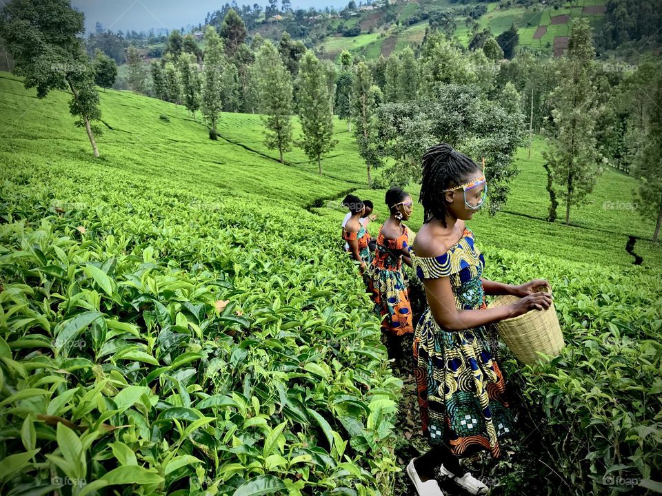 This beautiful picture of three young beautiful woman represent Kenya and also African culture