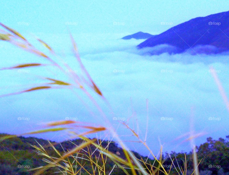 cloud 9, clouds, altitude, sky high, explore, nature