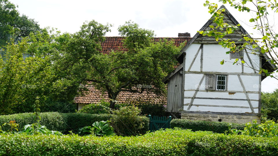 At the Domain Bokrijk in Belgium.