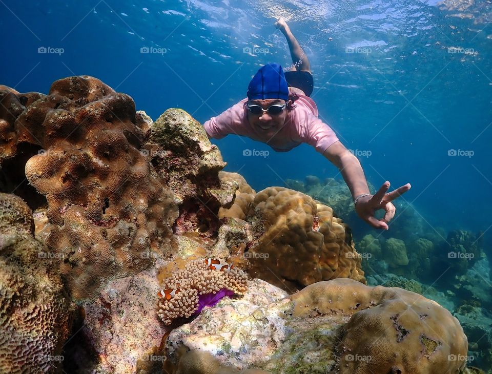 Sattahip,Chon Buri/Thailand-November 24 2019:Colorful under sea world with Anemone Fish  at Samae San island