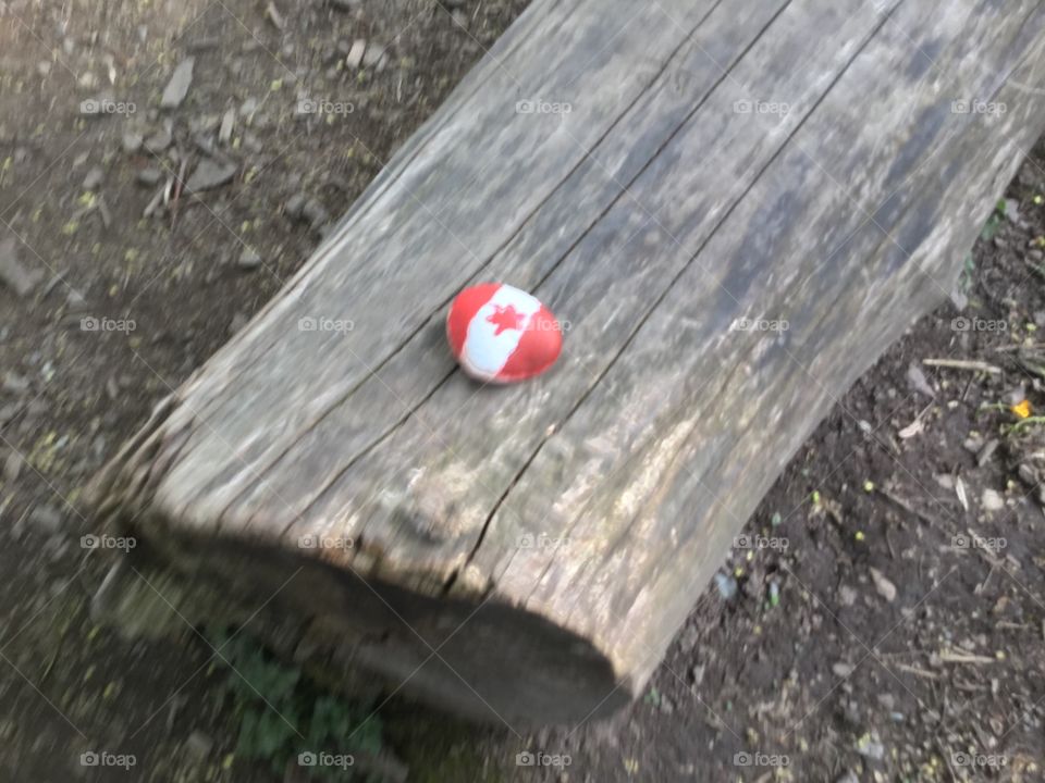 Rock that I painted with a Canadian Flag and put on a log in Park 