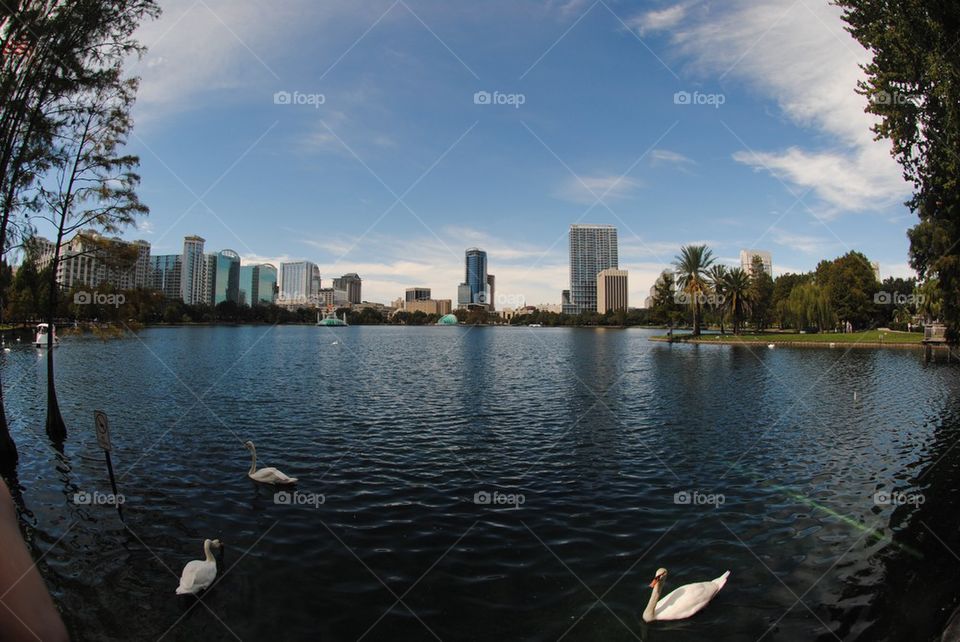 Lake Eola Park, Orlando