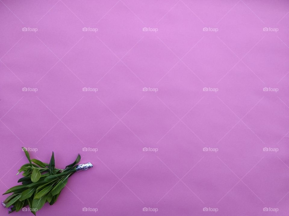 Herb with pink backgrounds