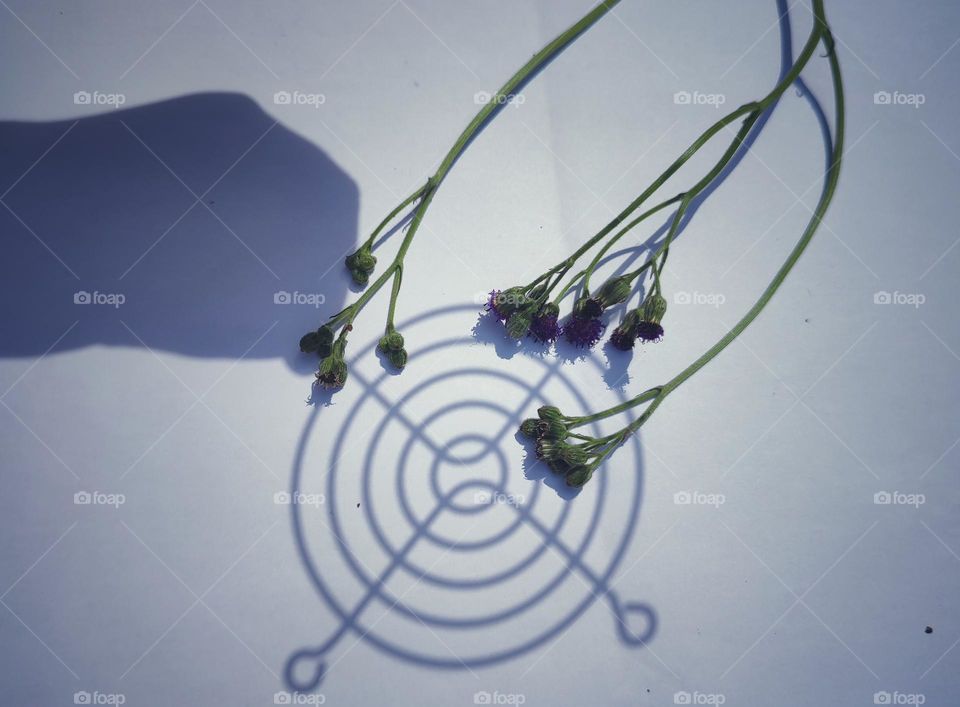 Circle shaped shadows