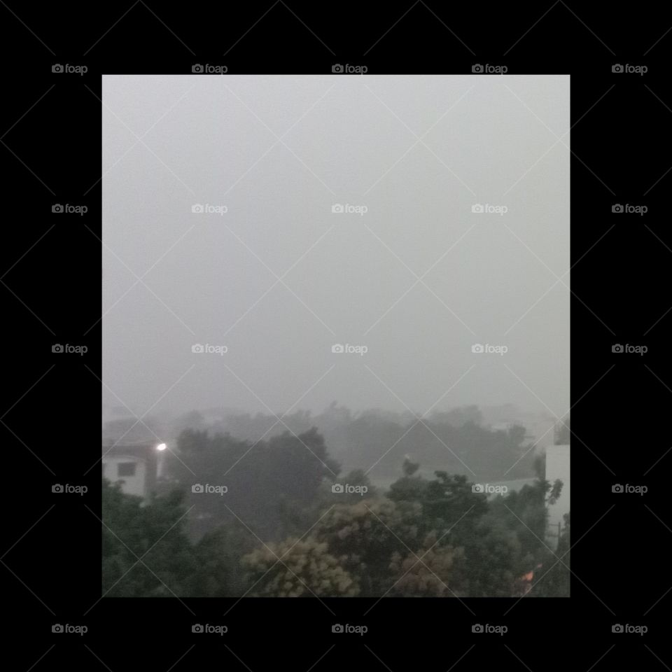 A point were rain and fog comes together.❤️✨