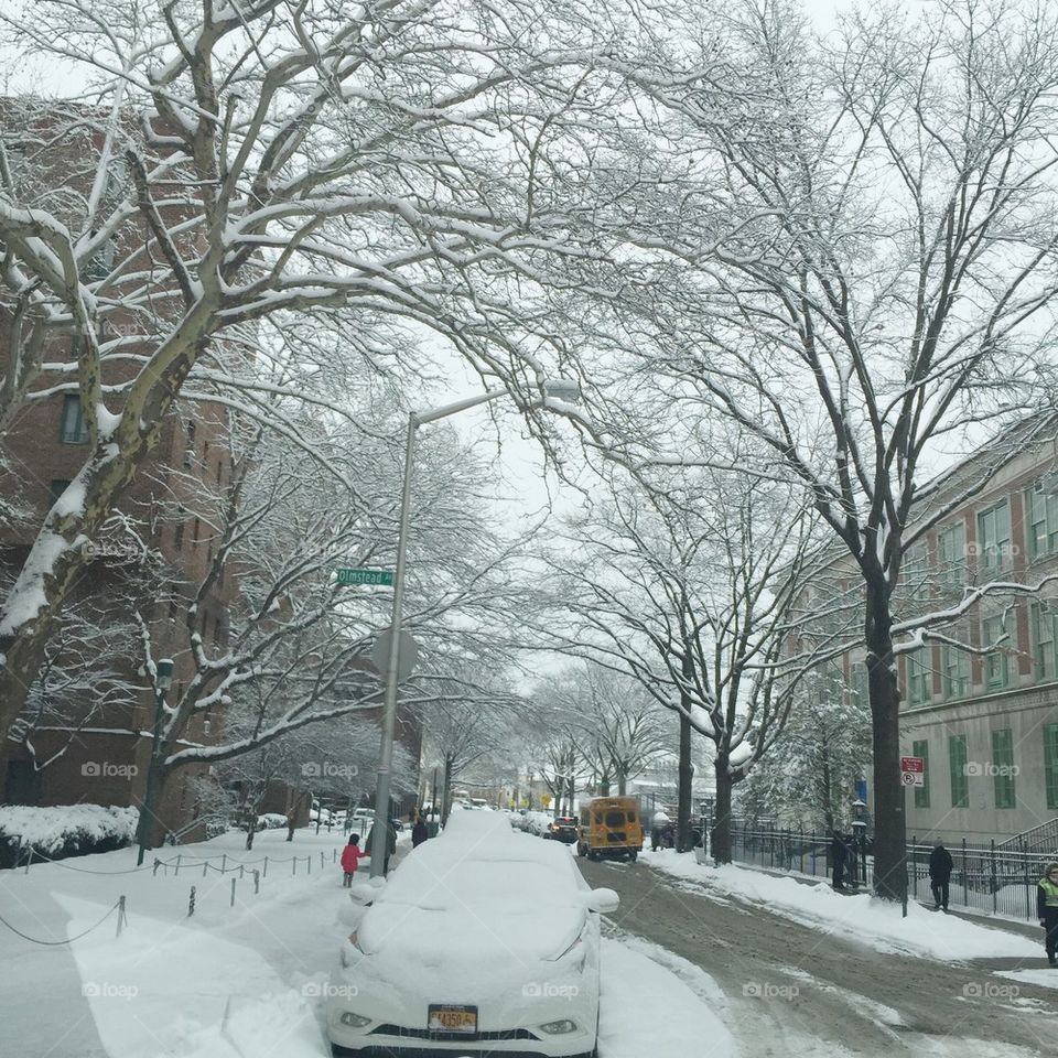 Winter in NY