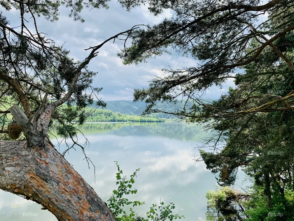 By the lake