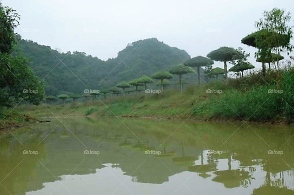 Tam Coc boat trip Vietnam