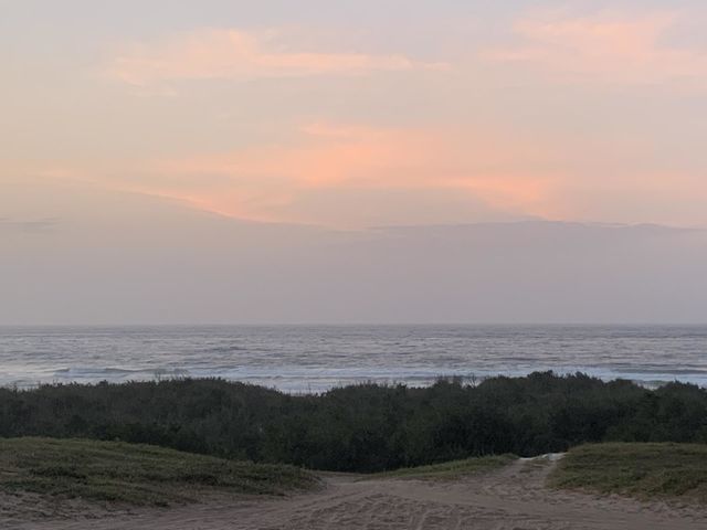Ocean view
