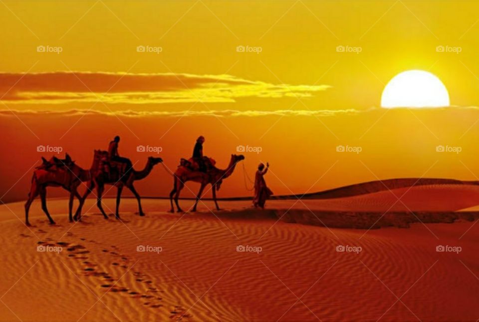 desert of India at sunset