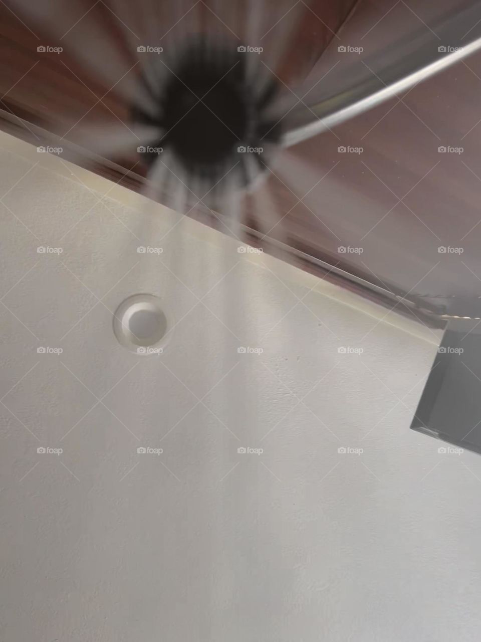 A view from the kitchen sink