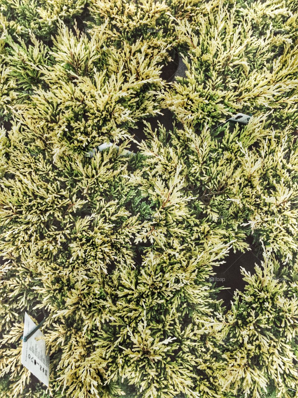 Autumn in the Netherlands