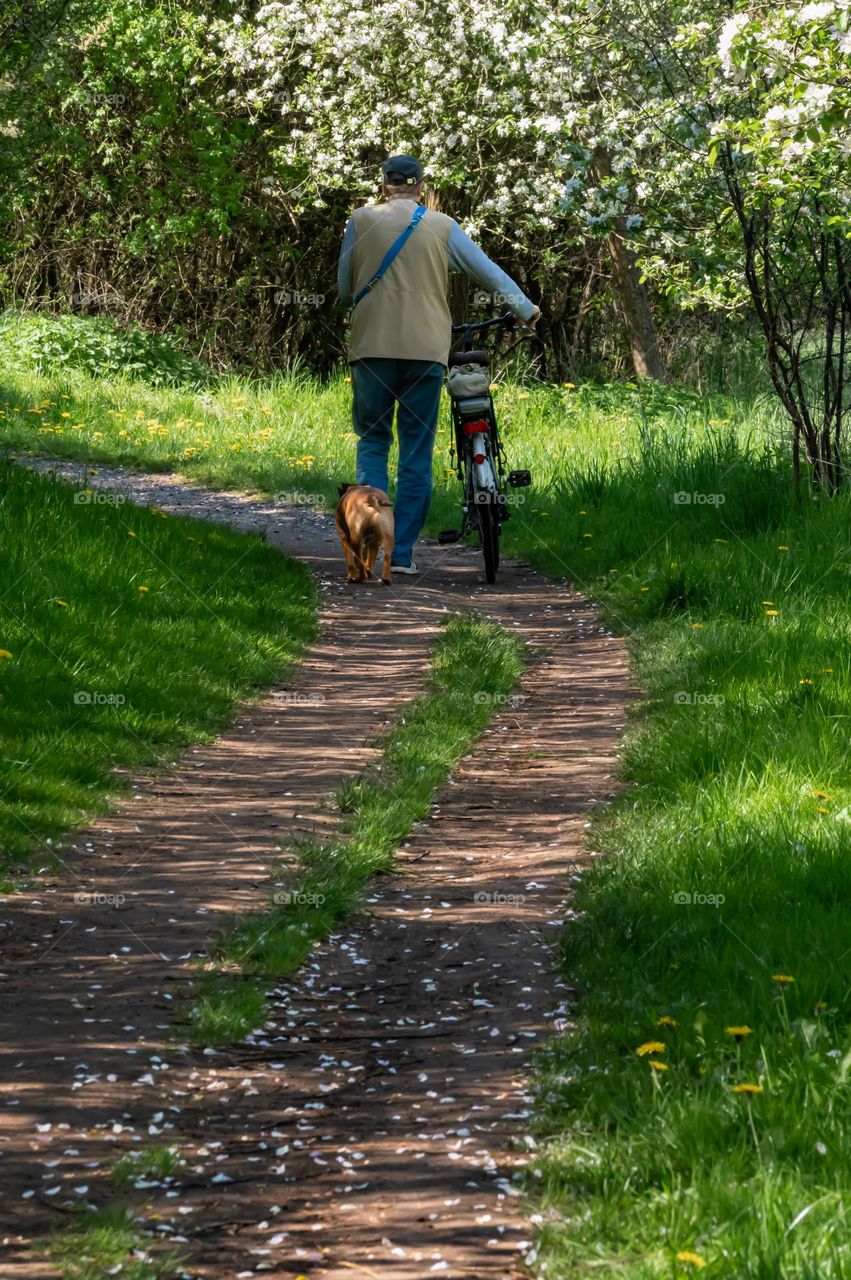 enjoy nature in spring-like weather