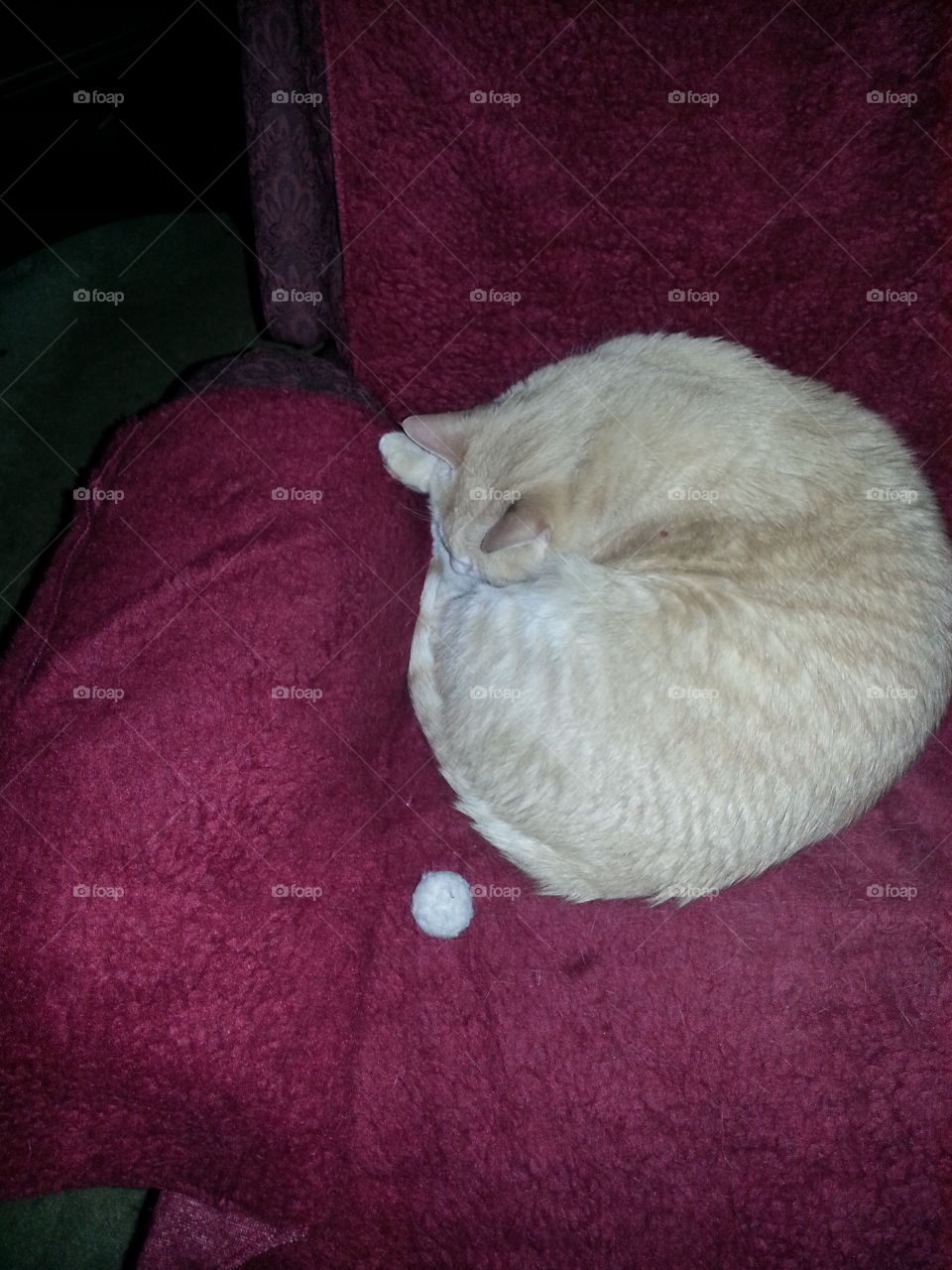Sleeping kitty with puff toy