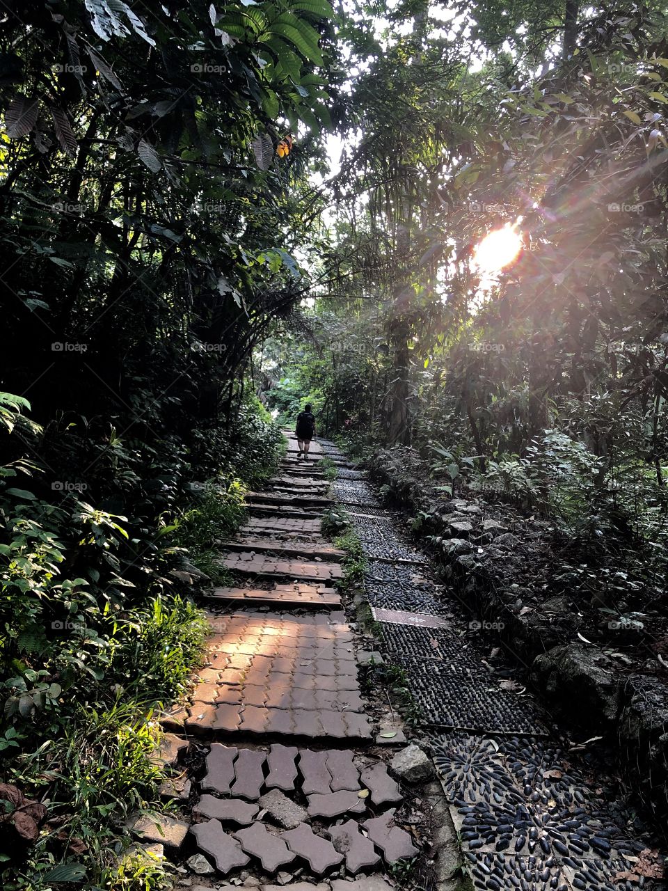 Journey to healthier life 