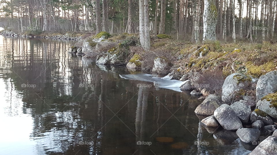 Melting ice on the lake