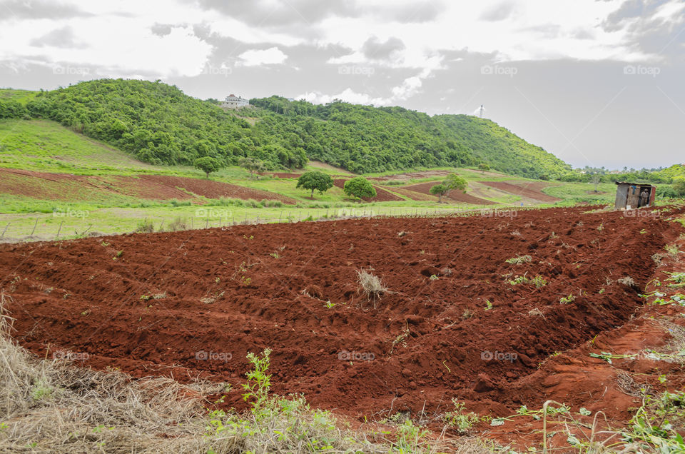 Ploughed Farmland