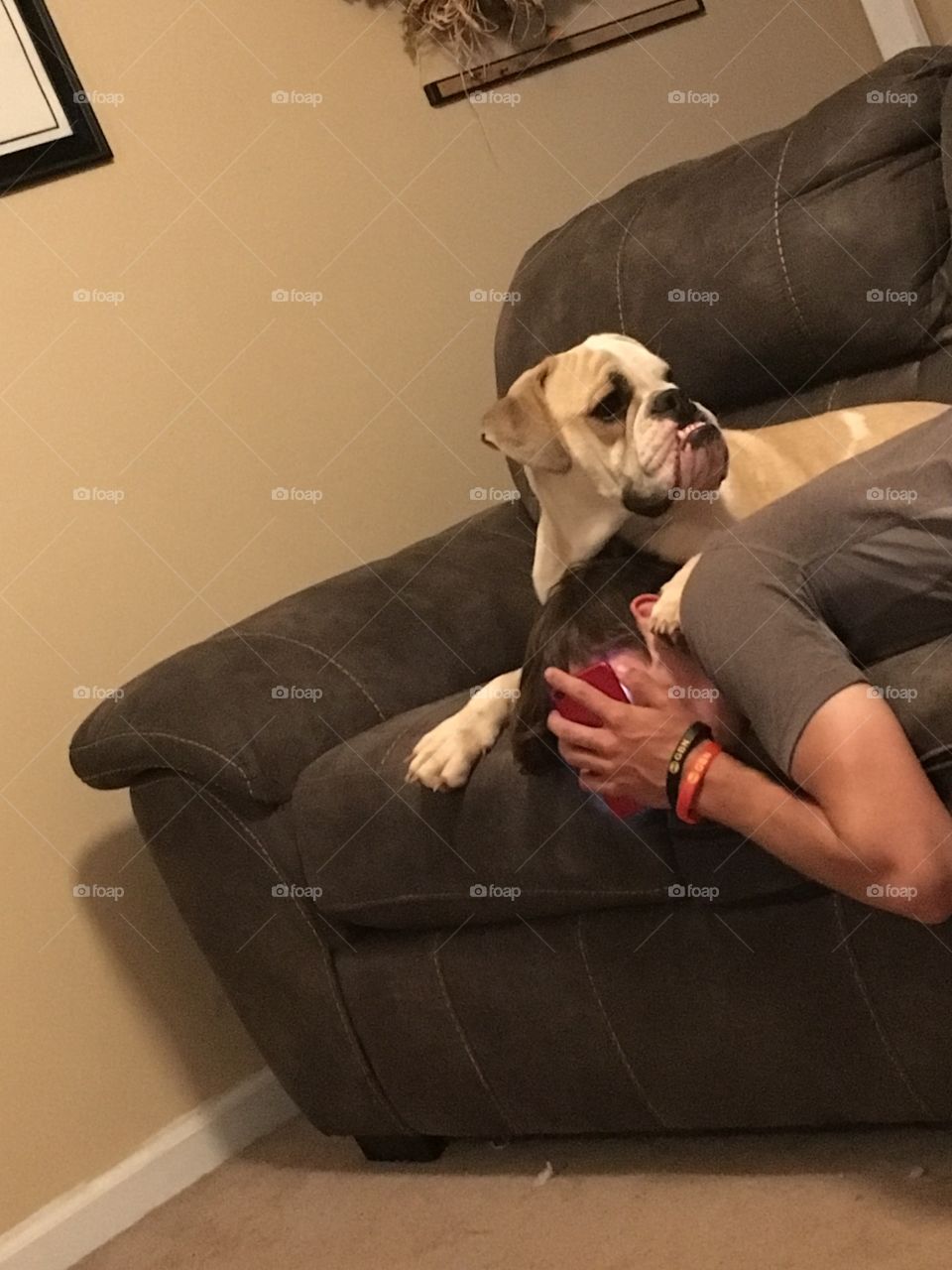 Don’t mess with my human!