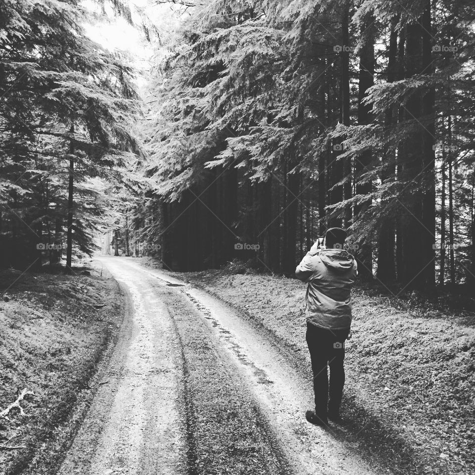 Black & white photos in the forest