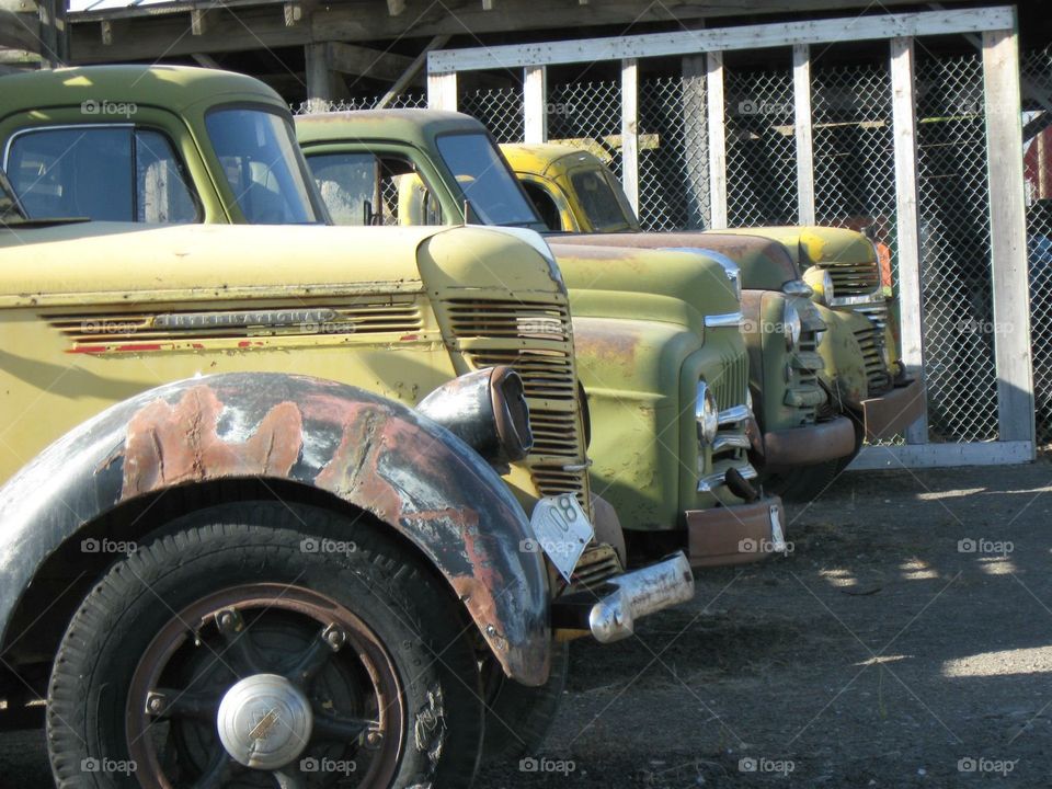 Vintage trucks