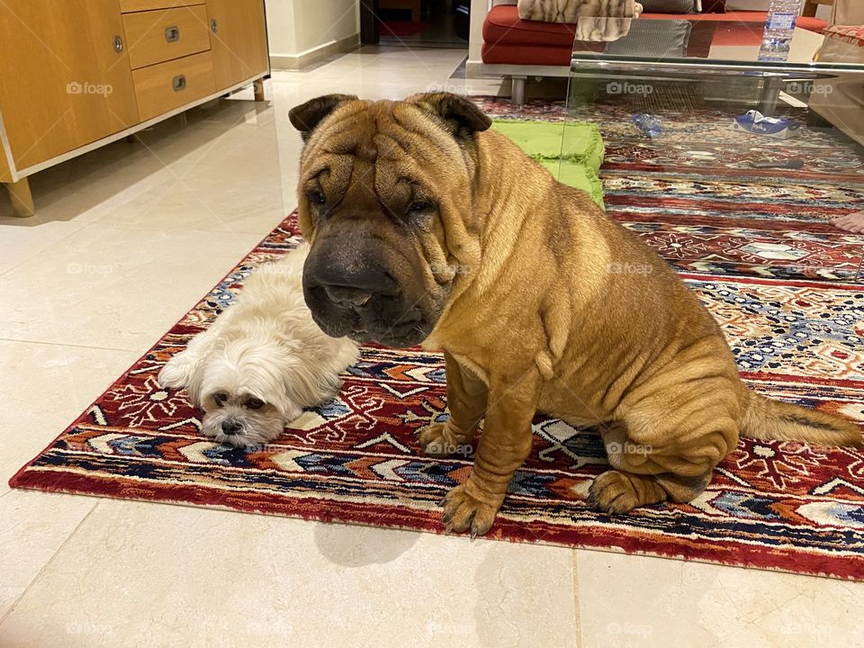 Do not disturb her, otherwise...