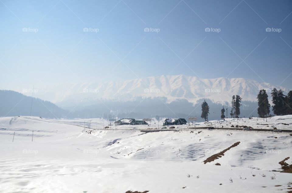 snow ladden Gulmarg