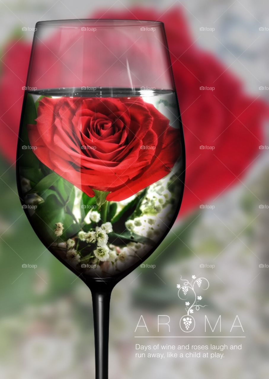 Red Rose in a wine cup
