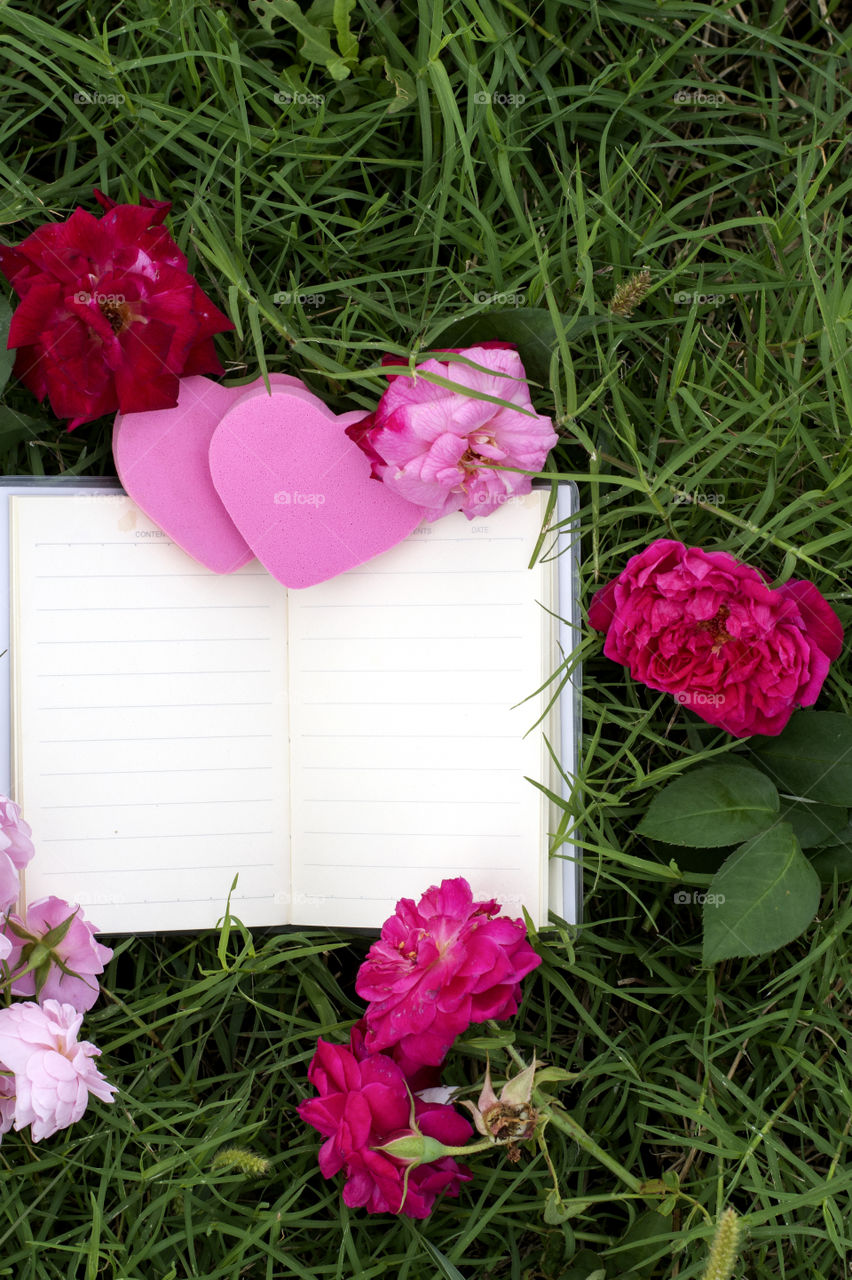 book love and roses on the green grass