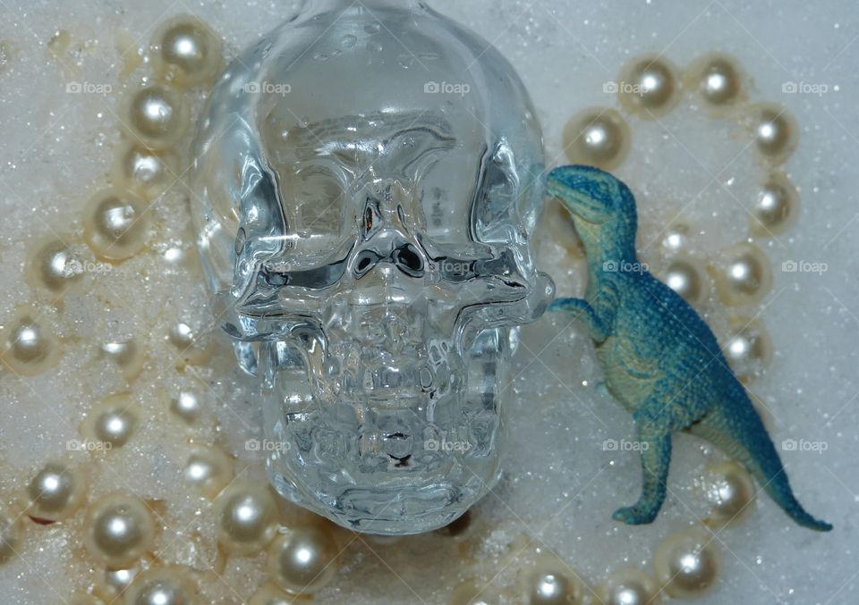 dinosaur and skull in pearls and snow