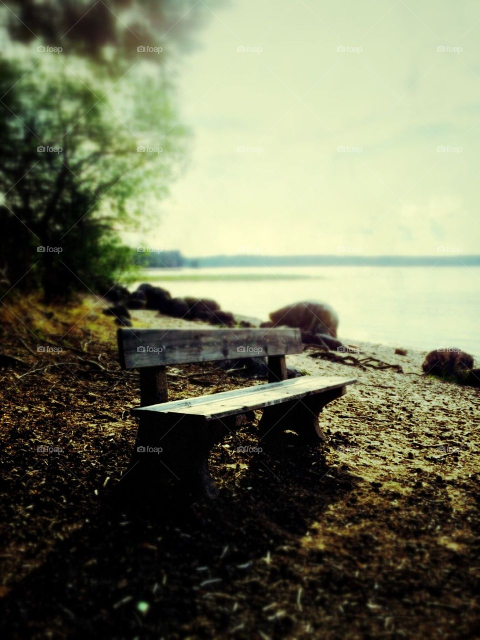 Old bench