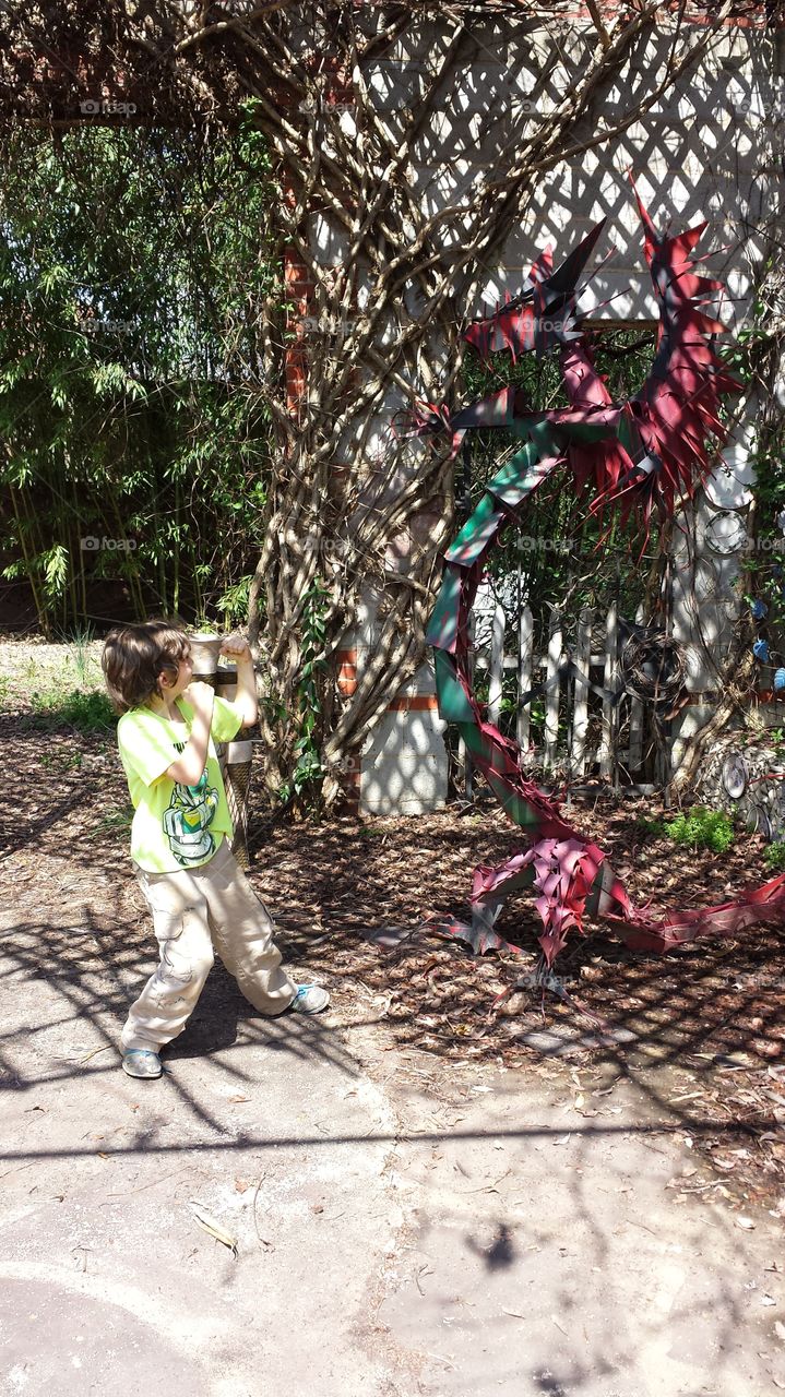 fighting your dragon