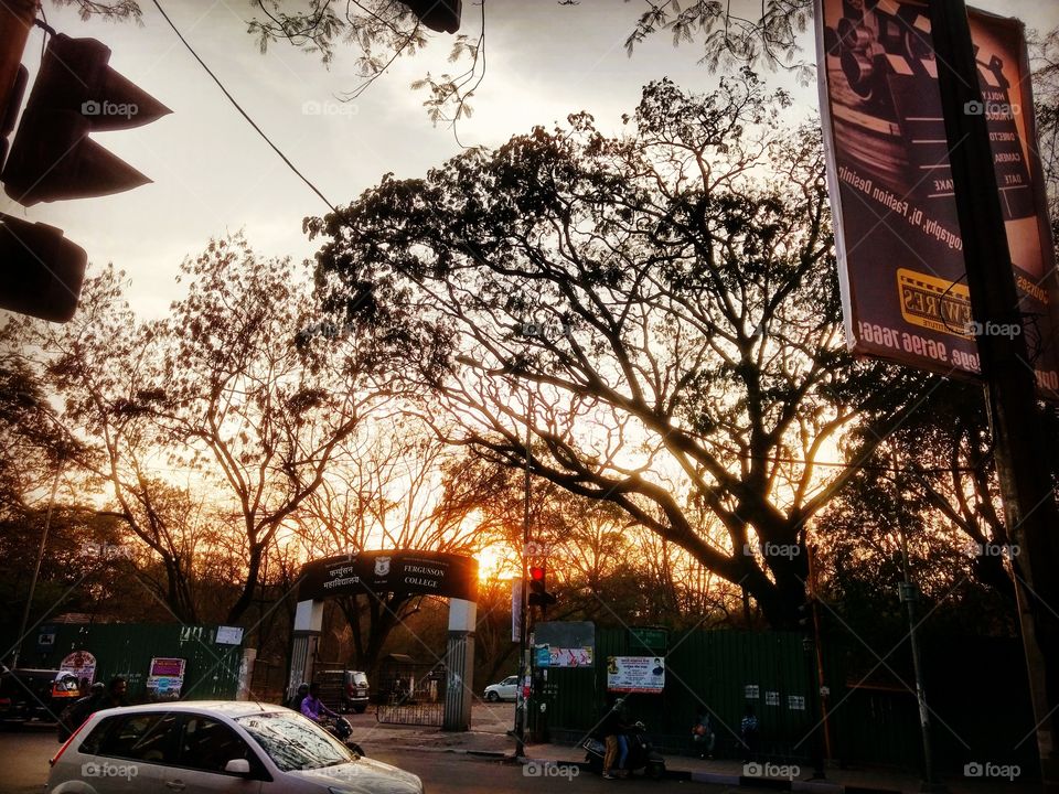 #beauty #nature #leaves #sunset #golden #hour #naturelover #trees #evening #time