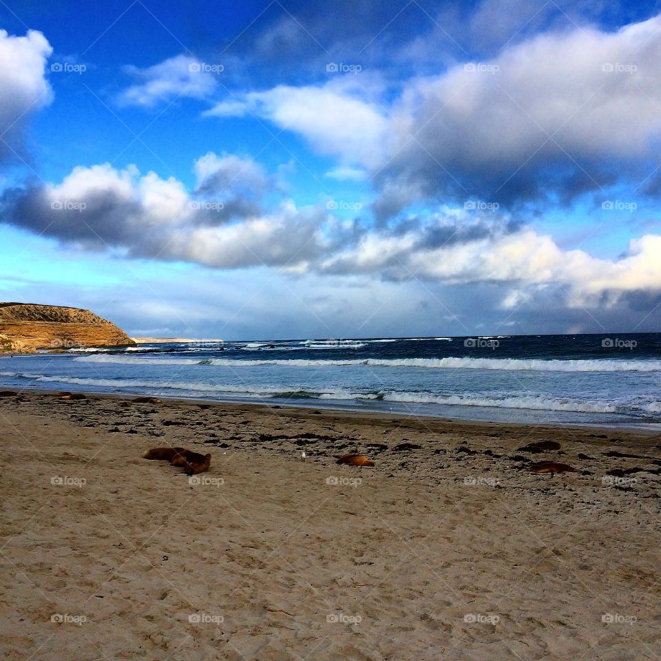 Seal Bay @ Kangaroo Island - Australia