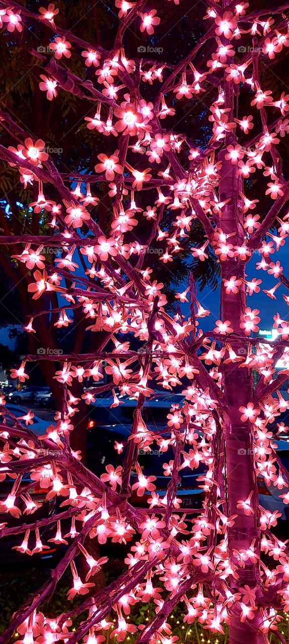 Sakura Illumination Park is a cherry blossom park designed by using thousands of beautiful lights that spread out in a park at AEON Mall BSD