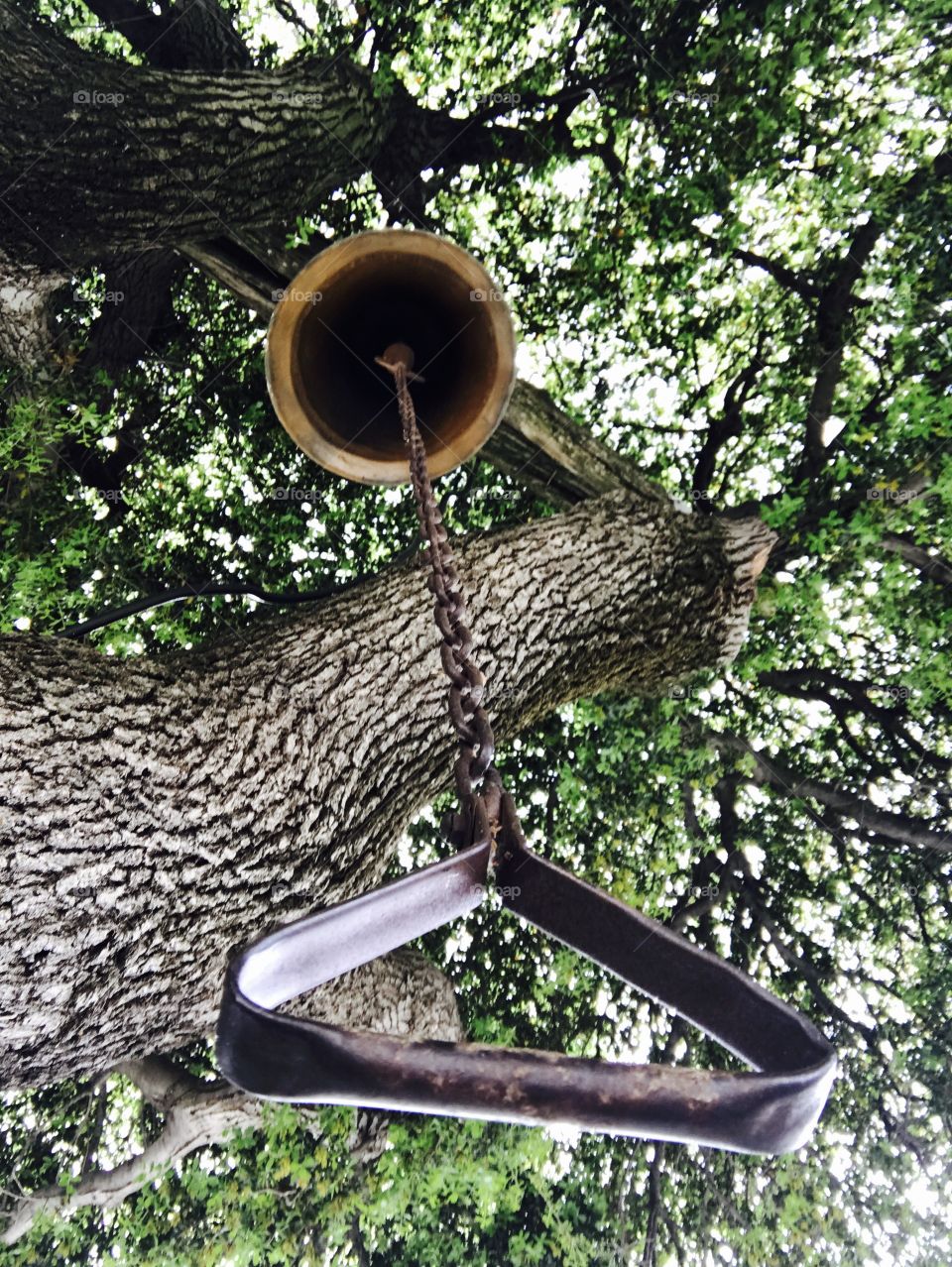 Bell in tree