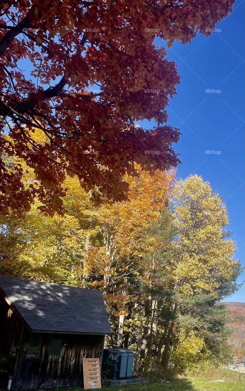 Upstate New York during the fall 