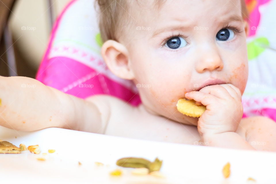 Blue eyed Baby girl eating cracker snack in high chair 