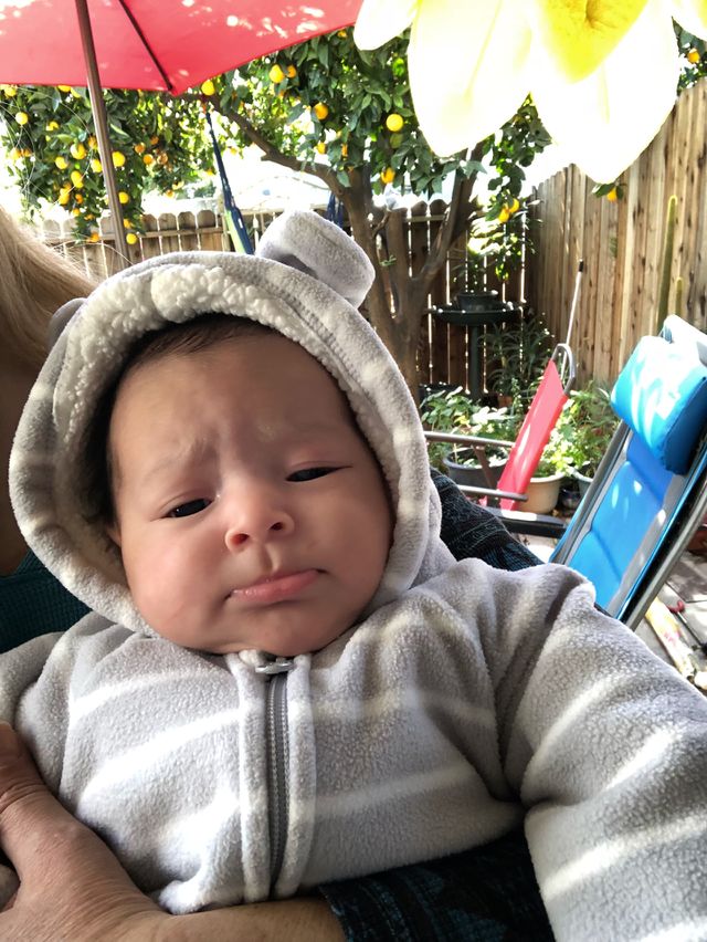 Baby bear