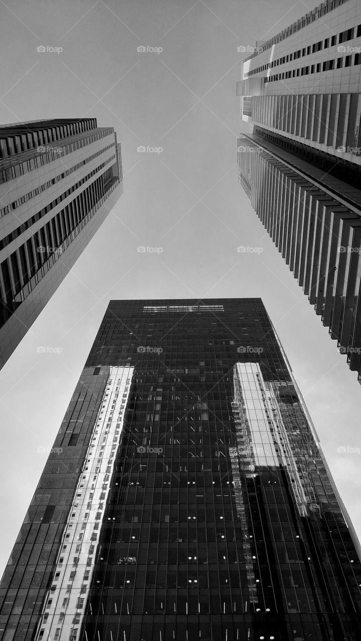 Skyscrapers 🏢 Black and white 🤍🖤 Architecture 🏢 Symmetry 🖤🤍 Buildings🏢