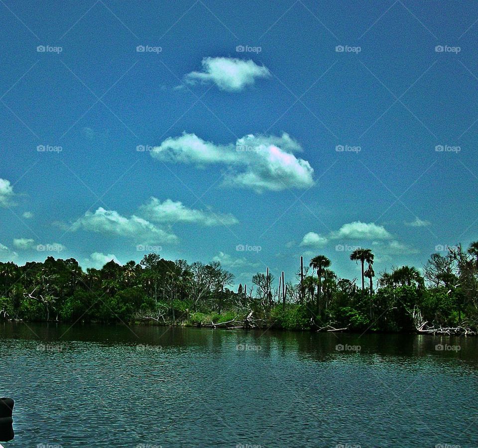 Springs. Picture of a lake in central Florida 