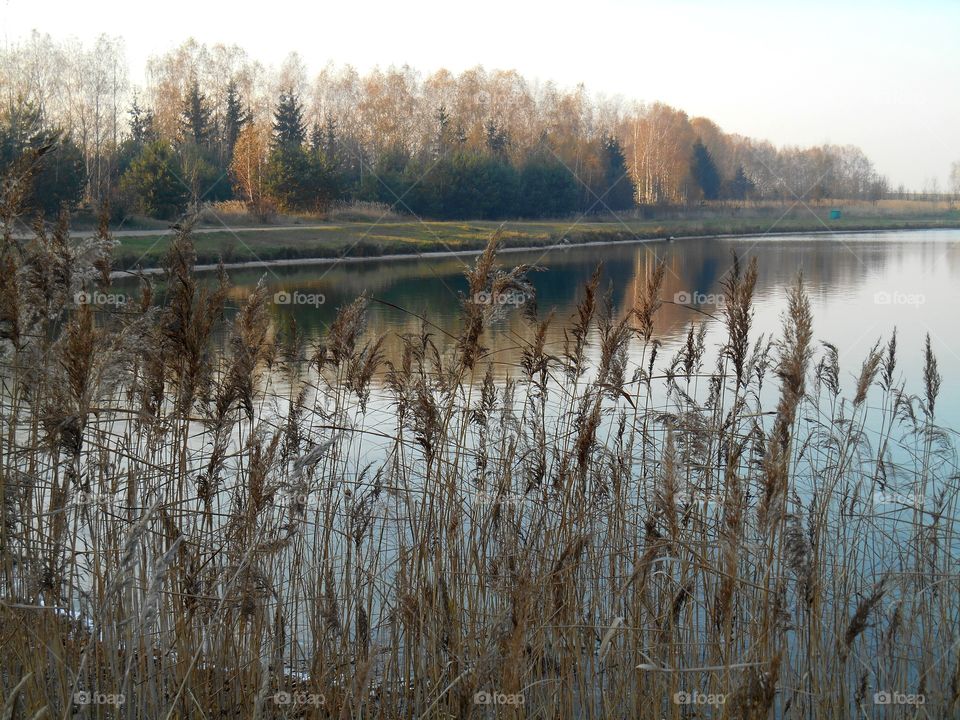 lake landscape