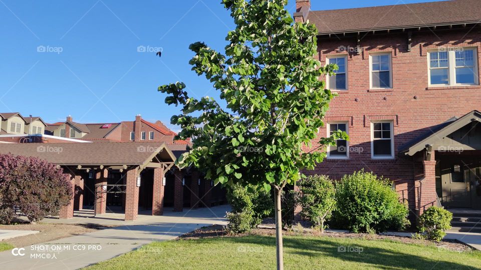 schools and universities series