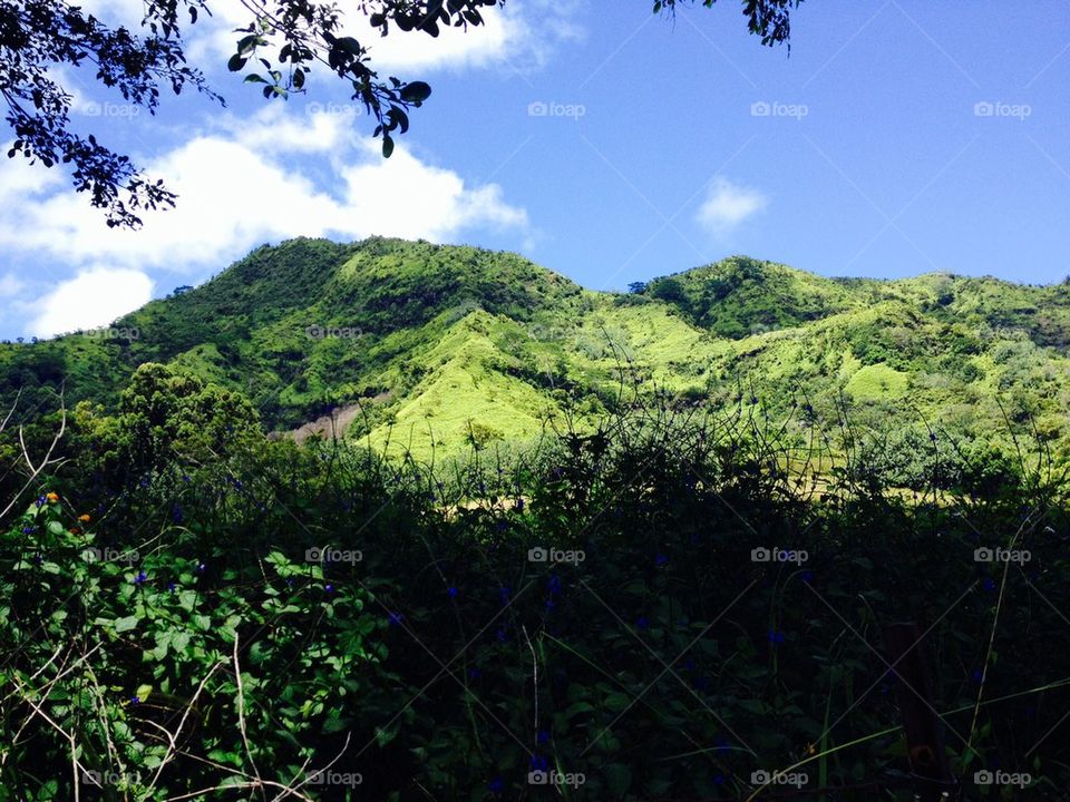 Kauai