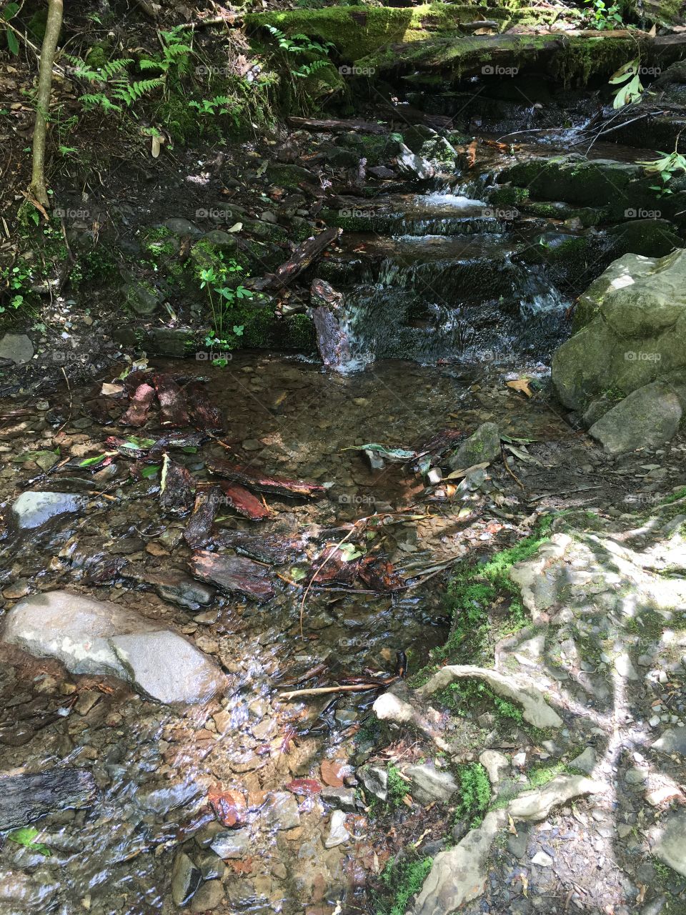 Water, River, Stream, Environment, Nature